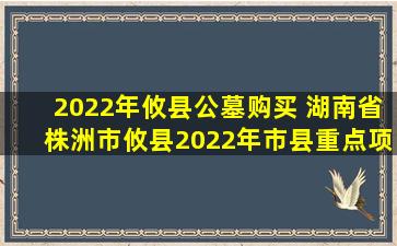 2022年攸县公墓购买 湖南省株洲市攸县2022年市县重点项目